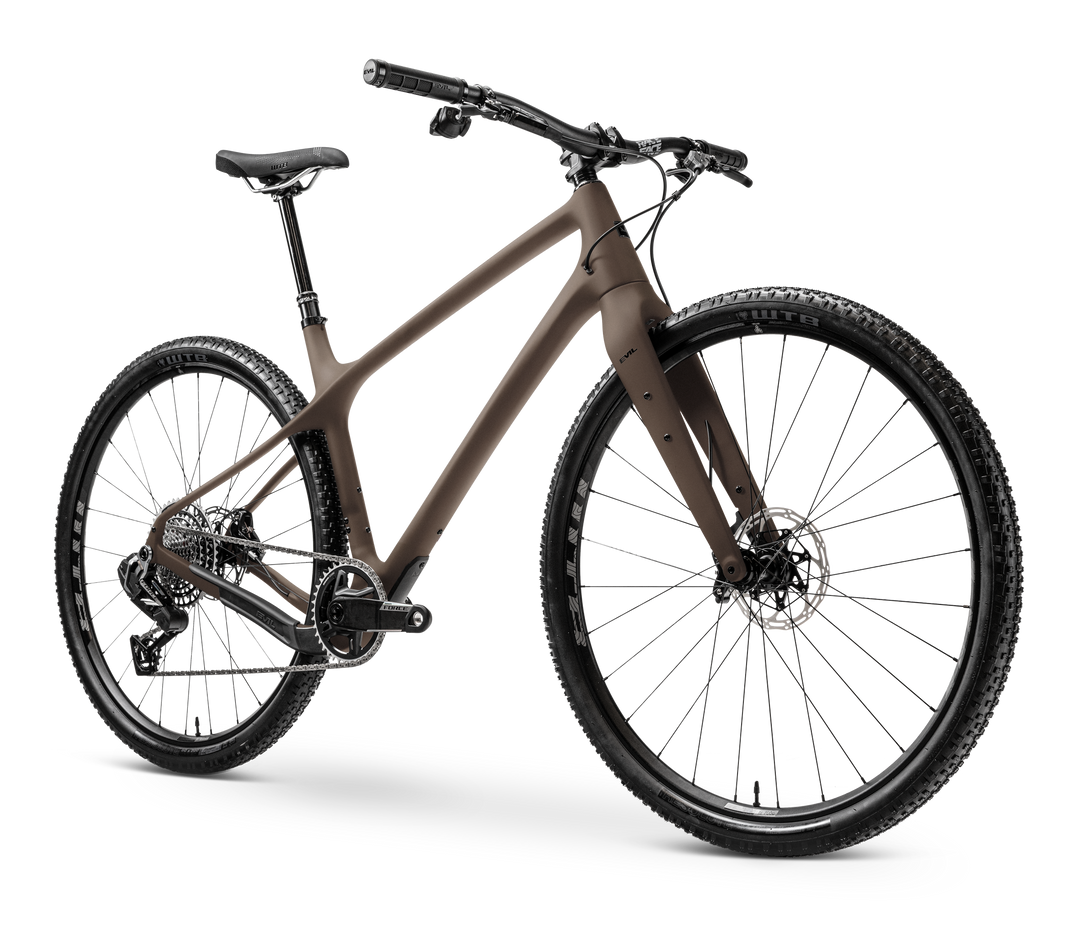 gravel bike with udh Chamois Hagar