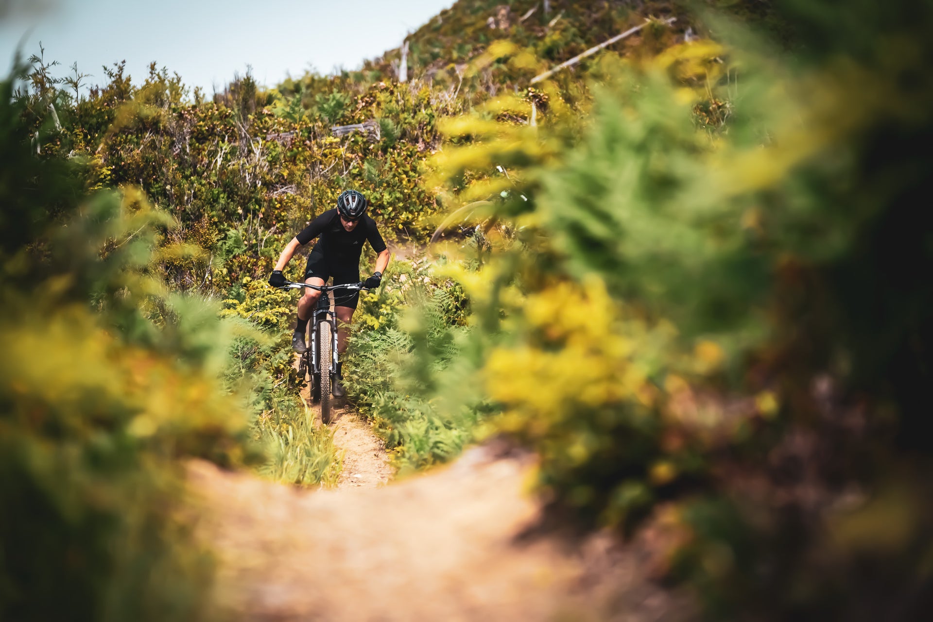 Evil Following GX 19