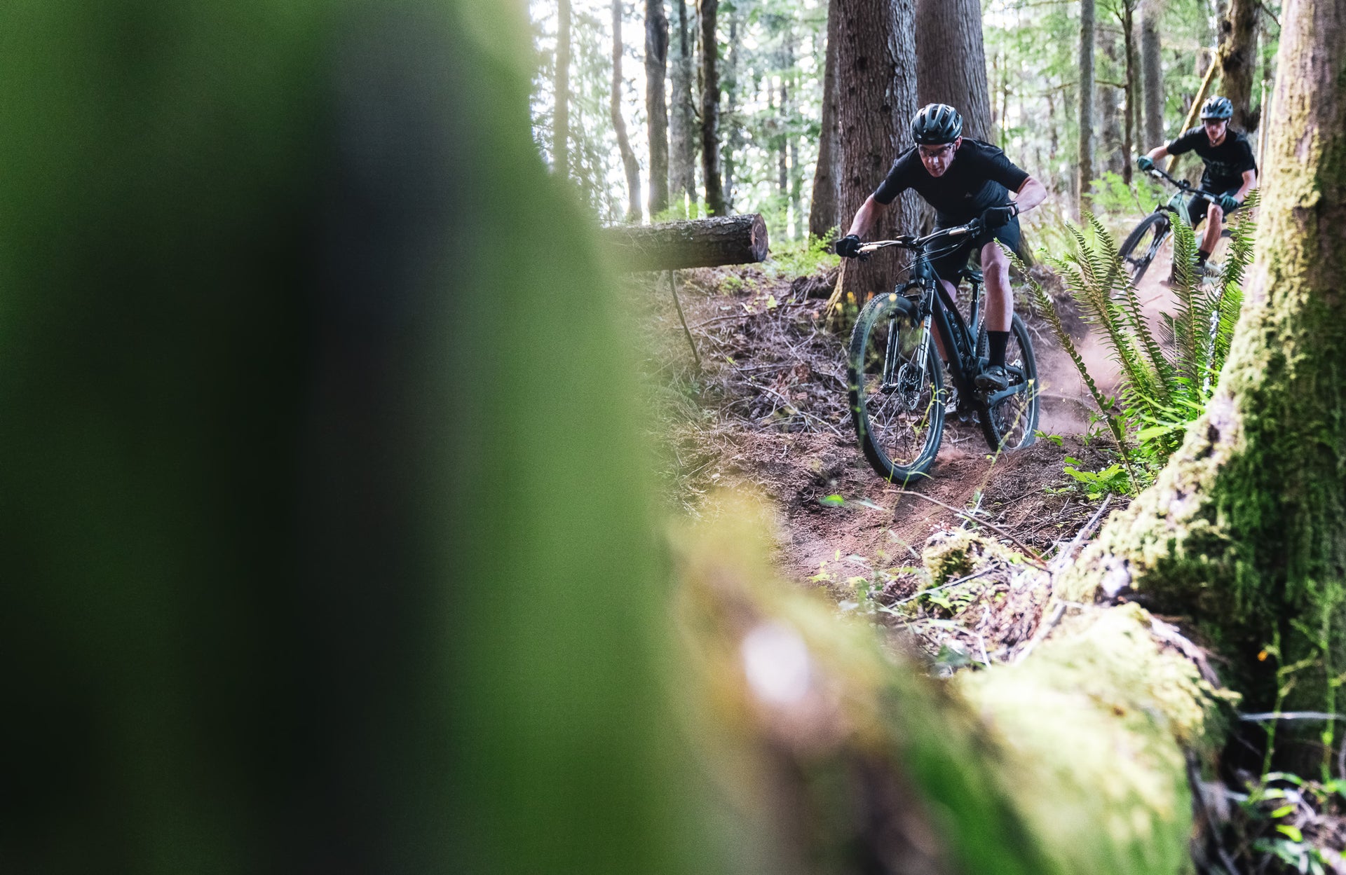 Evil Following GX 10