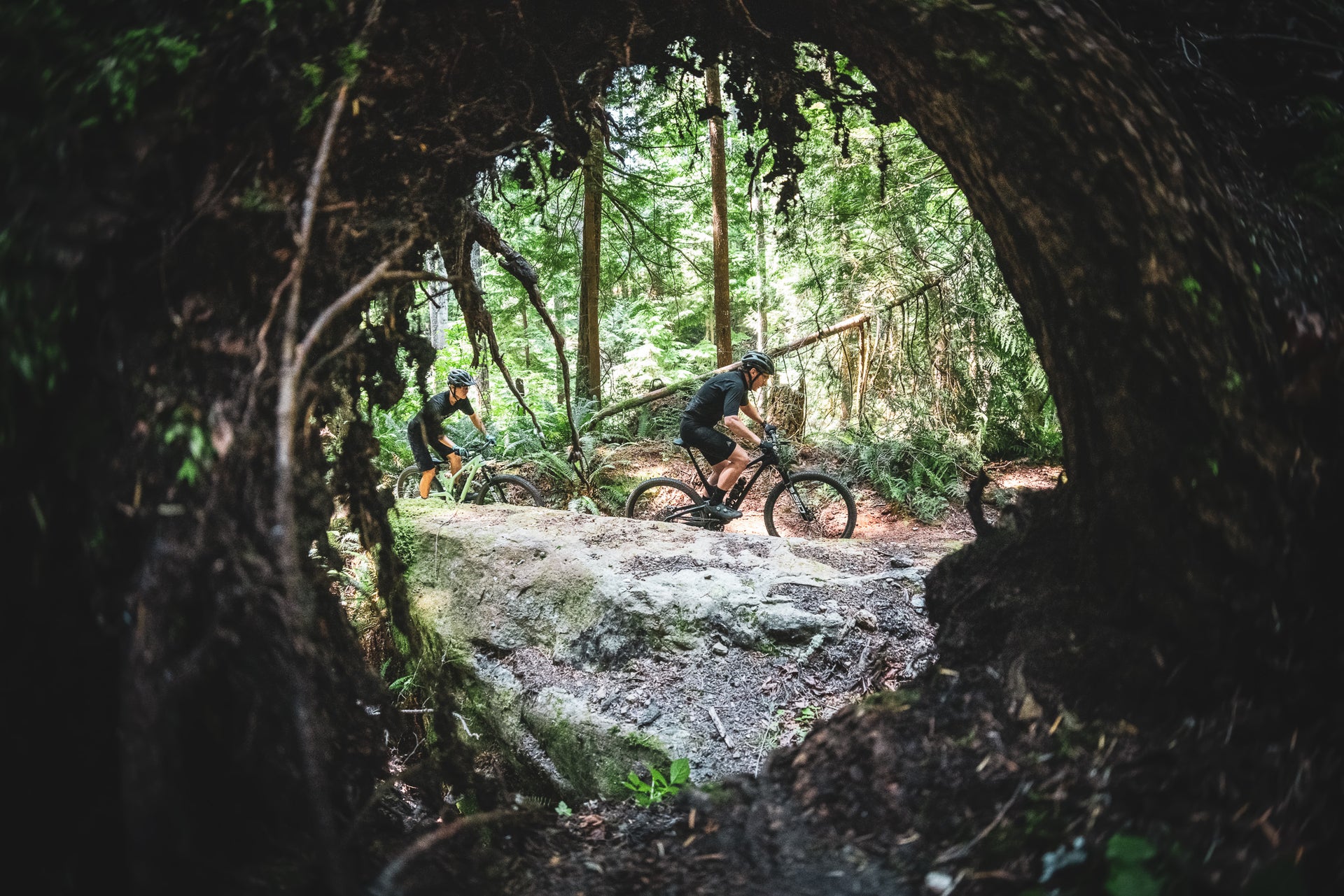 Evil Following GX 22