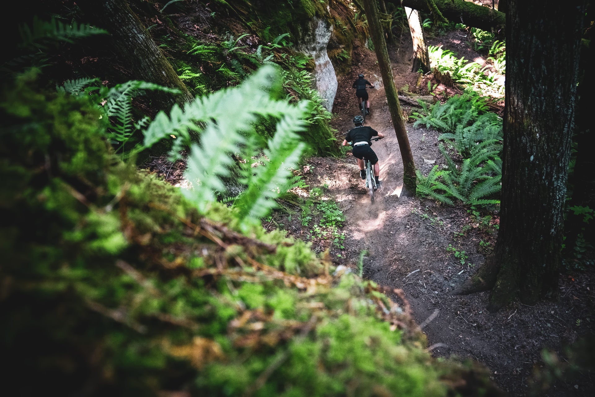 Evil Following GX 20