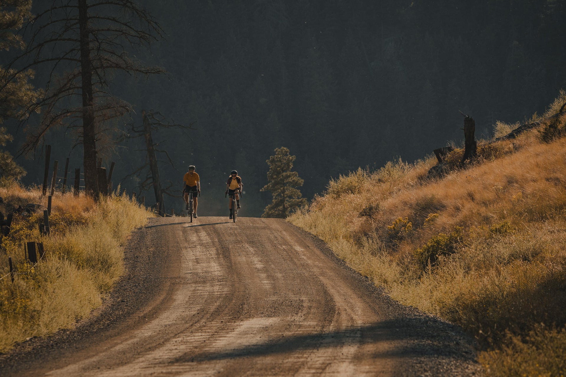 Chamois Hagar Gravel Bike – Evil Bikes USA